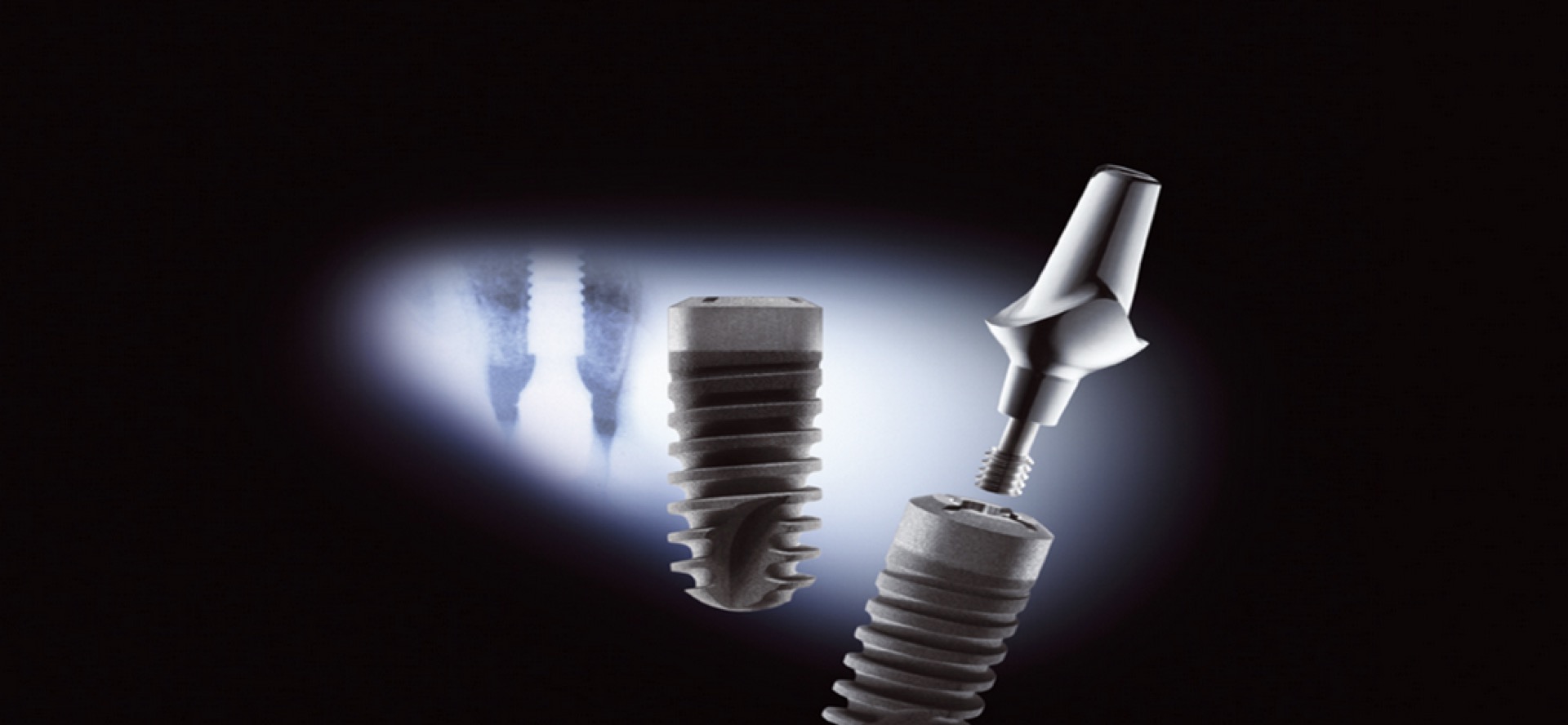 Ankylos® Implant System Components